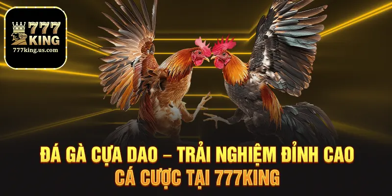 da ga cua dao – trai nghiem dinh cao ca cuoc tai 777king