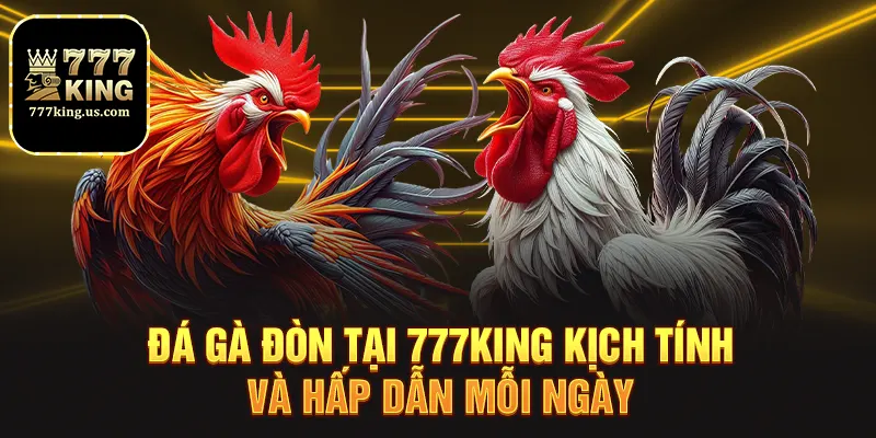 da ga don tai 777king kich tinh va hap dan moi ngay
